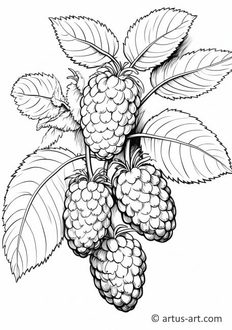 Raspberry Bushel Coloring Page